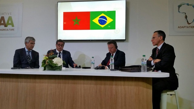 CCIBRA participa da COP22 em Marrakesh