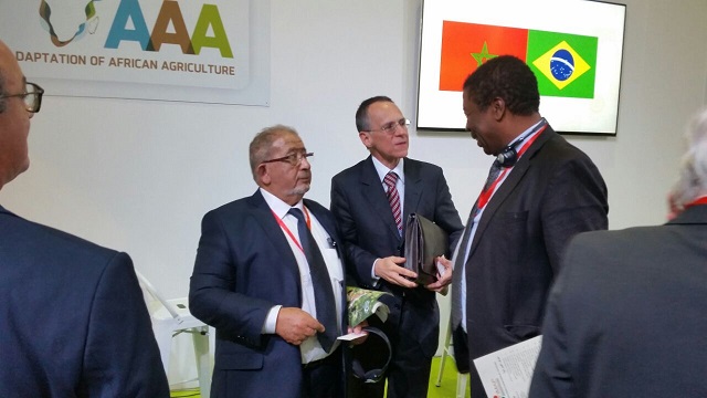 CCIBRA participa da COP22 em Marrakesh — Registro 2